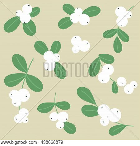 Collection Of Branches And Berries Of A Snowberry For Print, Design, Decor. Vector Isolates.
