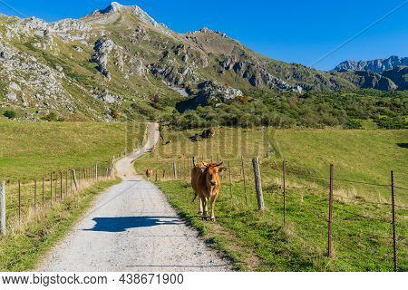 Landscape Of The Somiedo Natural Park In Asturias. Route From Valle De Lago To Lago Del Valle.