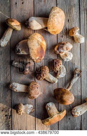 Forest Edible Mushrooms Close Up. Ceps Boletus Edulis Over Wooden Background, Rustic Table.forest Ed