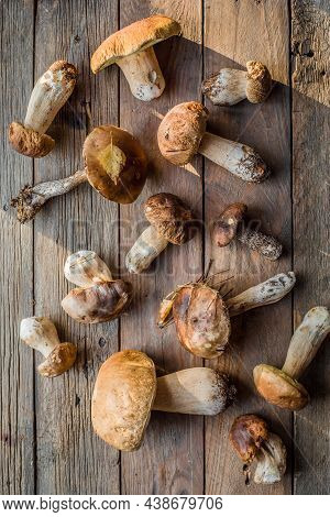 Forest Edible Mushrooms Close Up. Ceps Boletus Edulis Over Wooden Background, Rustic Table.forest Ed