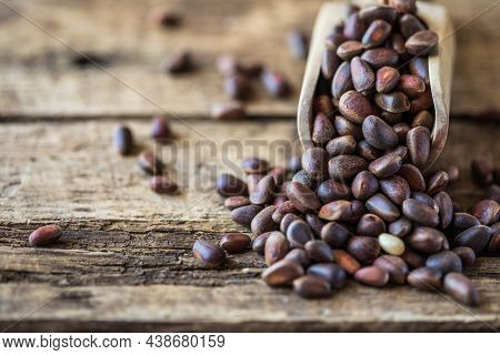 Cedar Nuts In Shell. Organic Food. Seeds Of Siberian Pine. Cedar Nuts In Shell. Organic Food. Seeds 