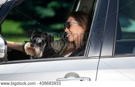Young Female Driver In Car Wearing Seatbelt Traveling. Attractive Woman Driving Car Holding Miniatur