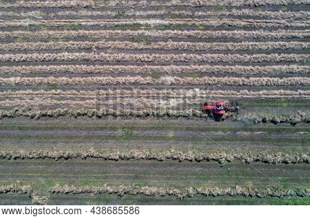 Top View Of Tractor With Hay Tedders Collecting Dry Lucerne For Balling In Field, Shoot From Drone
