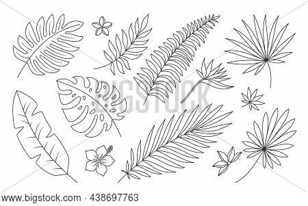 Tropical Leaf Flower Botany Plant Black Line Set. Palm Branch Exotic Bird Paradise Flower Hibiscus P