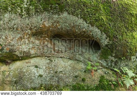Full Frame Of A Mossy Rock In The Przadki (spinners) Nature Reserve, Podkarpackie Province, Poland