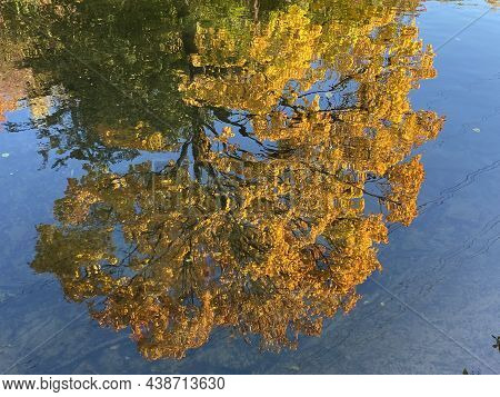An Early Autumn Landscape Along The Glatt River And Its Embankment In The City Of Zürich (zuerich Or