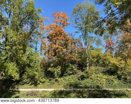 An Early Autumn Landscape Along The Glatt River And Its Embankment In The City Of Zürich (zuerich Or