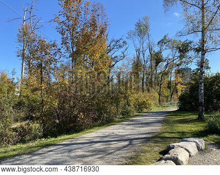 Recreational And Hiking Trails In Early Autumn Along The Glatt River And In The Zürich (zuerich Or Z