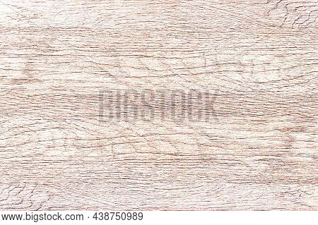 White Wash Wood Btexture, Washed Wooden Background. Old Wood Background, Light Wooden Abstract Textu