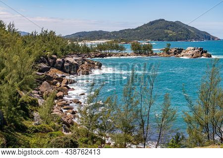 Trail With Rocks, Waves, Vegetation And Pine Trees