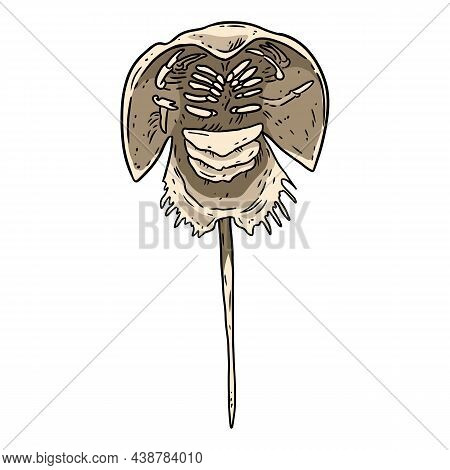 Horseshoe Crab Lineart Doodle Design For Coloring Book. Cartoon Sketchbook Image Logo. Media Graphic