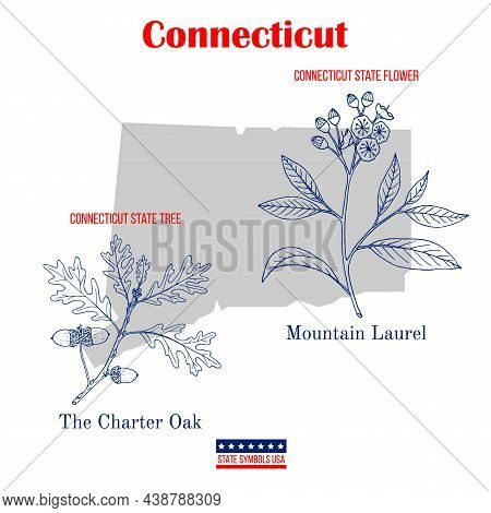 Connecticut. Set Of Usa Official State Symbols. Vector Hand Drawn Illustration