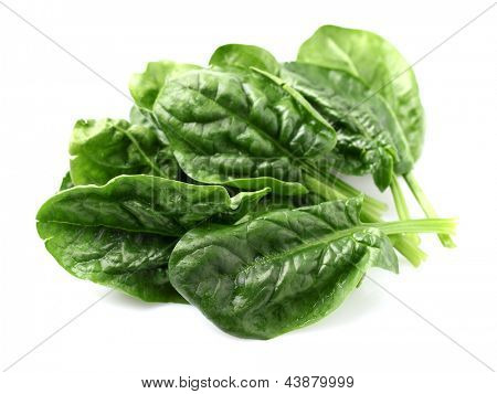 Blattspinat
