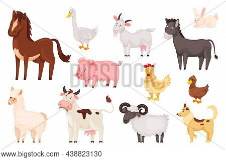Cartoon Cute Farm Animals And Birds, Rural Domestic Livestock. Sheep Chicken Duck, Rabbit, Goose, Co