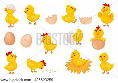 Cartoon Baby Chickens, Easter Cute Little Chicks. Funny Newborn Chicken In Eggshell, Chick Hatching 