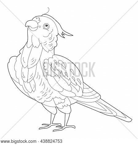 Contour Linear Illustration For Coloring Book With Decorative Parrot. Beautiful Bird, Anti Stress Pi