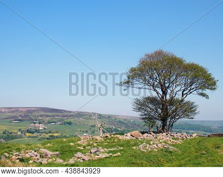 A Single Tree In A Rock Covered Meadow Looking Over The Calder Valley And Midgley Moor In West Yorks