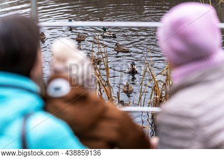 A Rear View Of Two Girls With A Baby In Their Arms, Who In An Autumn Park Are Looking At A Flock Of 