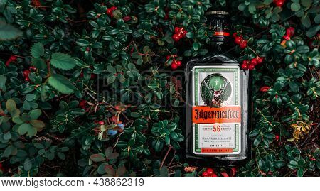 Chelyabinsk, Russia - July 30, 2021: A Bottle Of Jagermeister On The Lingonberry Bushes, Panorama. B