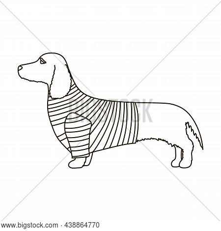 Dachshund Vector Icon.outline Vector Icon Isolated On White Background Dachshund.