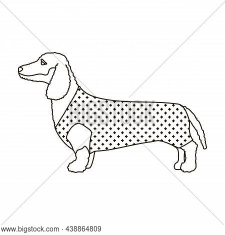 Dachshund Vector Icon.outline Vector Icon Isolated On White Background Dachshund.