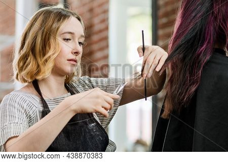 Customer getting a haircut in a beauty salon