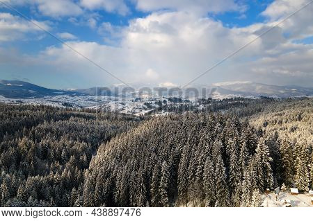 Winter Landscape With Spruse Trees Of Snow Covered Forest In Cold Mountains.