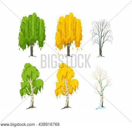 Cartoon Tree At Different Times Of Year. Birch And Willow Seasonal Tree For Game Scenes. Green Plant