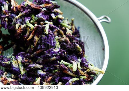Dried Butterfly Pea, The Process Of Making Butterfly Pea Juice By The Traditional Thai Method.