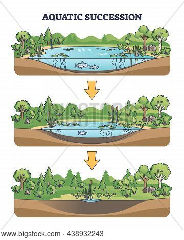 Aquatic Succession And Ecological Pond Drying Process Stages Outline Diagram. Geology Steps With Gla