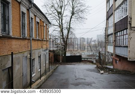 Old Town Street With Tree And Houses