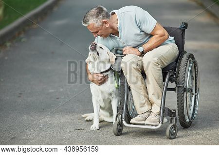Full Length Portrait Of Adult Man In Wheelchair Playing With Dog In Park Outdoors, Copy Space