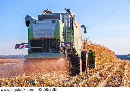 The Combine Harvester Harvests Corn, Grinds And Scatters Corn Stalks. View From Behind