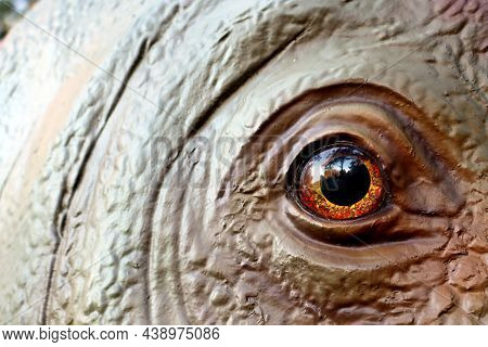Close-up Of A Red And Black Dinosaur Eye With A Kind Look. Kind Eyes Dinosaur.