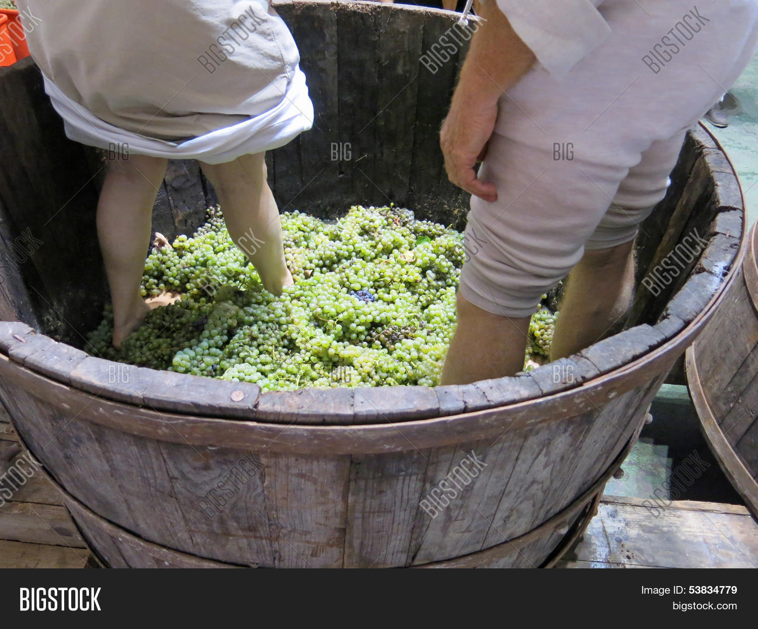 Давка винограда ногами грузия. Чан для давки винограда. Давка винограда. Праздник ртвели в грузии. Давка винограда.