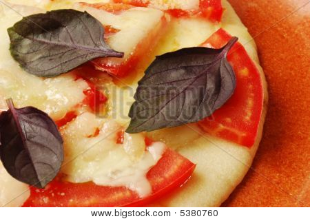 Mini Neapolitana