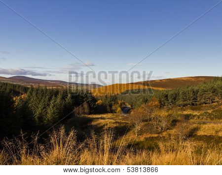 Cabrach road in Autumn