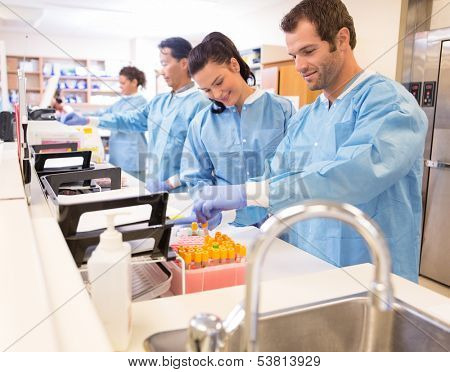 Team of lab technicians preparing samples for referral in clinic