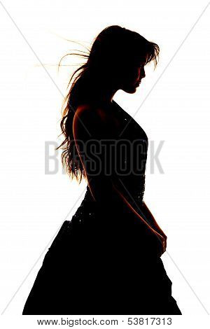 Woman Silhouette Formal Dress Close
