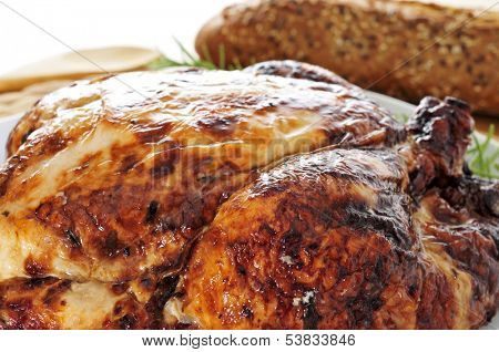 closeup of a roast turkey, served on a table