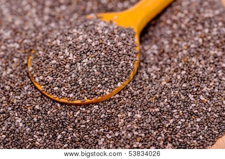 Organic Chia Seeds