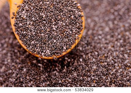 Organic Chia Seeds