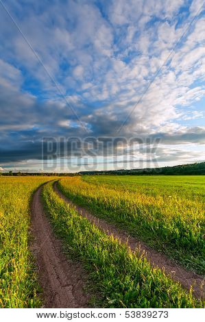 Meadow Road Evening