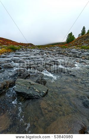 River, Stones, Taiga, Fog