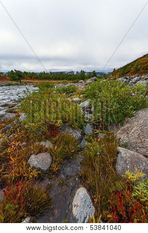 Mountain River, Stones, Fog, Morning.