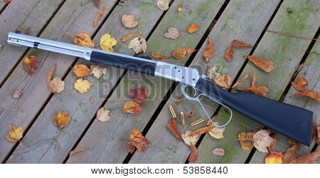 Autumn Gun