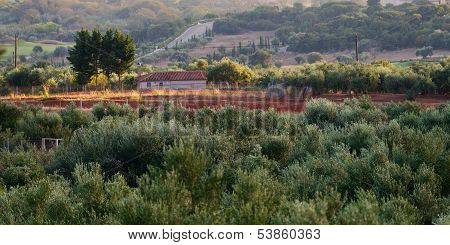 Messinia