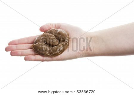 Hand Holding Fake Excrement