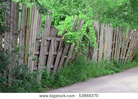 Old Wooden Fence