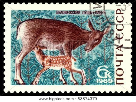 Vintage  Postage Stamp. Doe And Fawn.